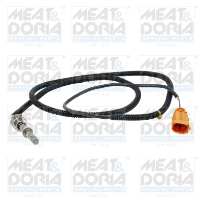 Sensor, exhaust gas temperature